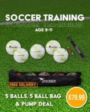 Precision Fusion Lite 320 Training Ball Bundle Deal